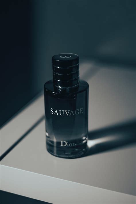 dupe parfum sauvage dior|More.